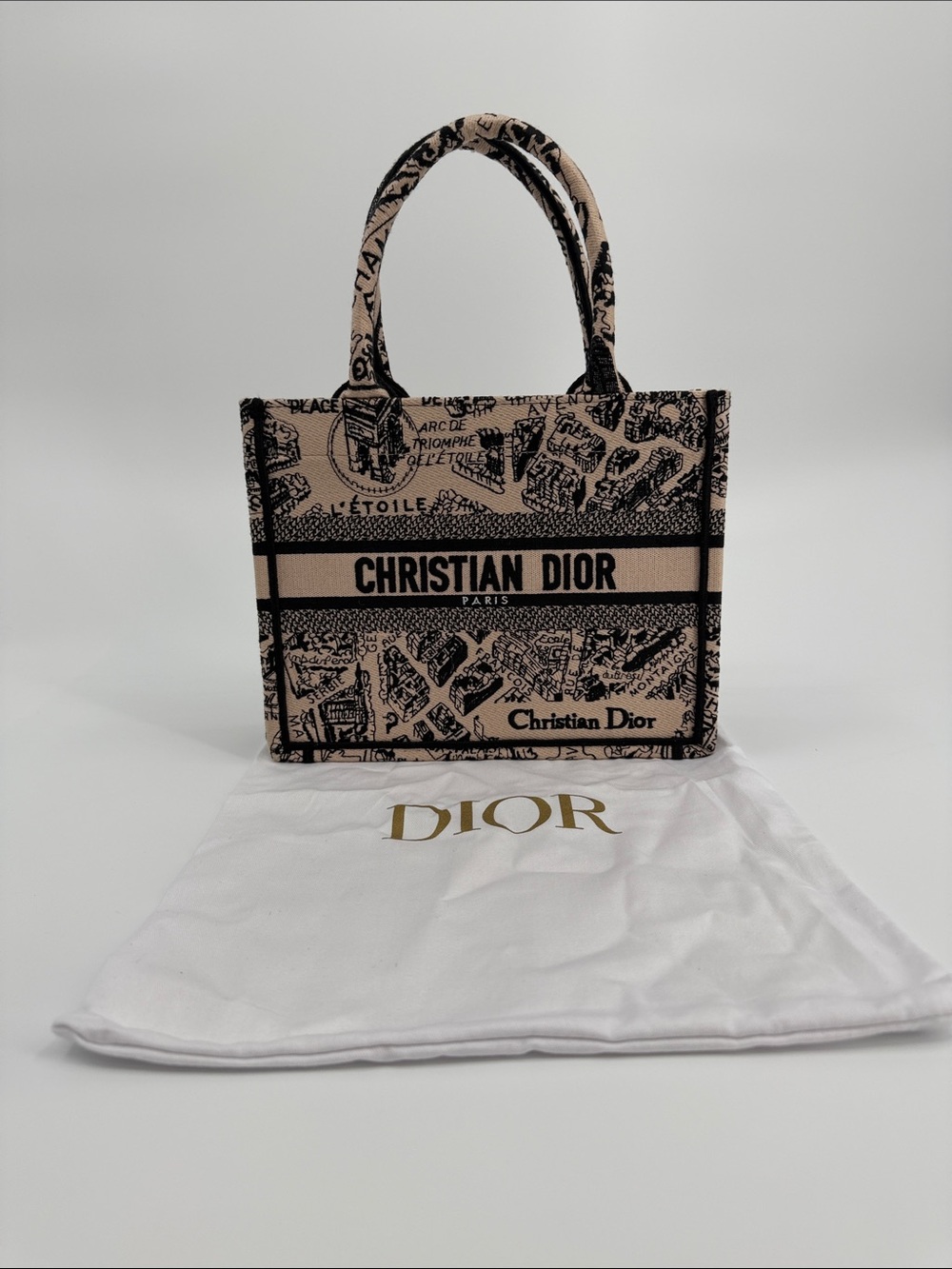 Canvas Embroidered Small Plan De Paris Book Tote Beige